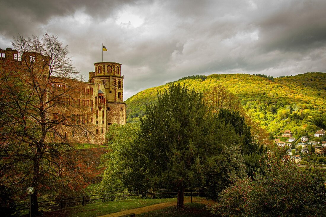 Entdecken Sie den Rhein-Neckar-Kreis: malerische Städte, kulinarische Spezialitäten, beeindruckende Natur, kulturelle Schätze und spannende Veranstaltungen warten auf Sie!