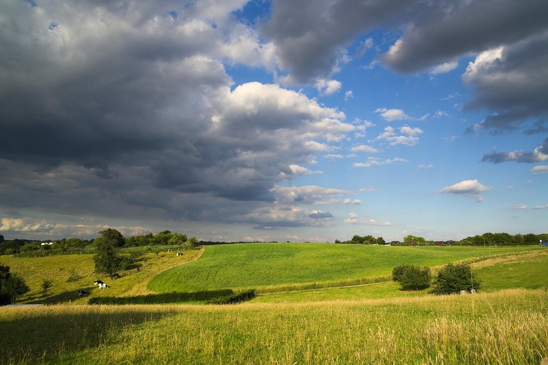 Entdecken Sie die Schönheit des Rheinisch-Bergischen Kreises: von malerischen Städten und kulinarischen Highlights bis zu historischen Stätten und unvergesslichen Naturerlebnissen.