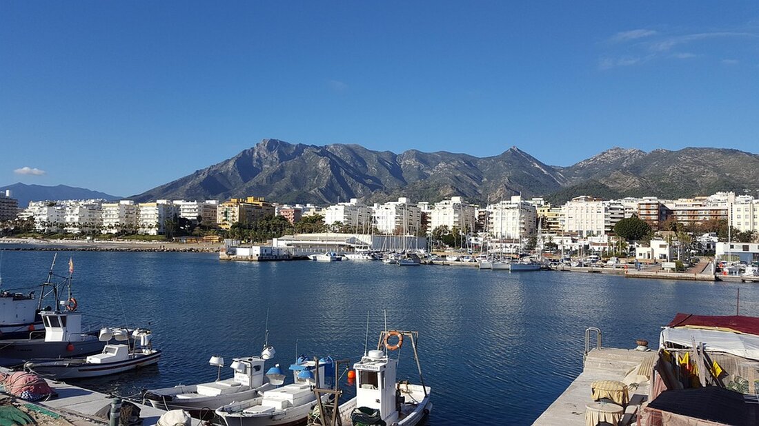 Urlaub im Mittelmeer: Haie in Marbella und Klimakrise gefährden Ökosystem. Aktuelle Wassertemperaturen alarmieren Experten.