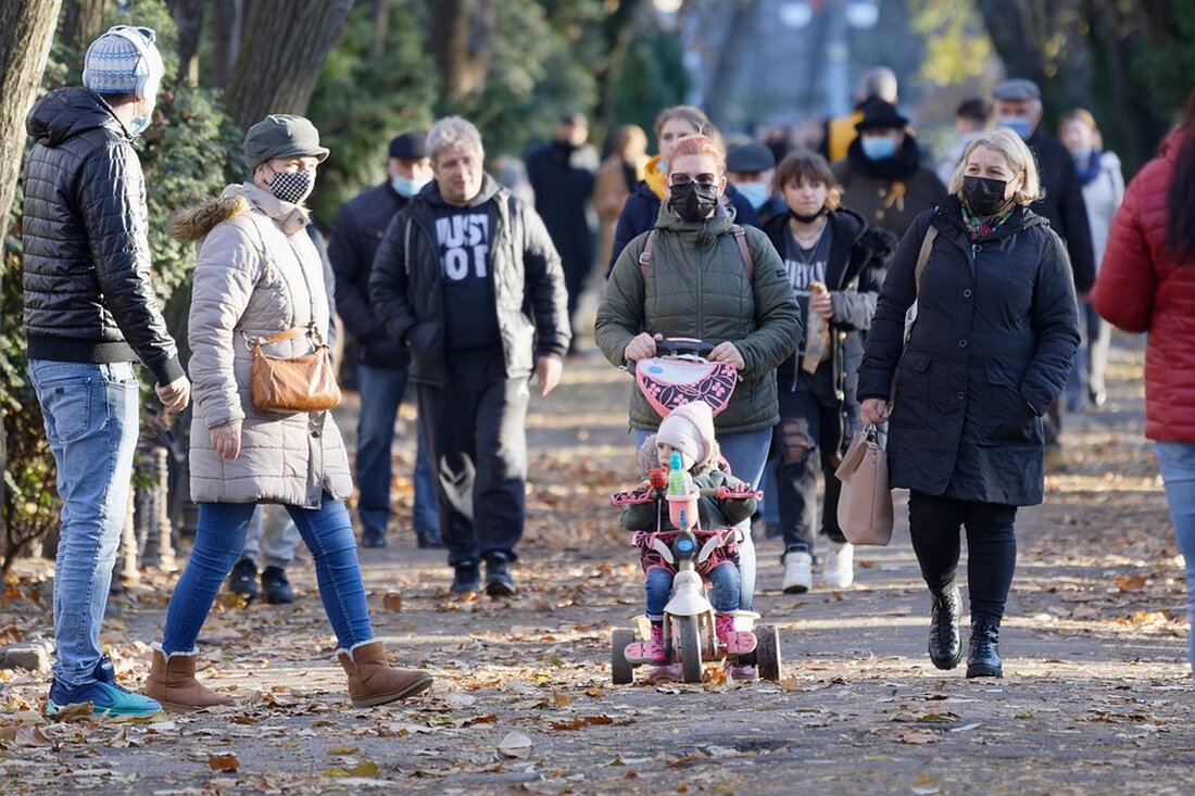 Der Romanikpreis 2023 ehrt engagierte Familien und Projekte zur Erhaltung romanischer Baudenkmale in Sachsen-Anhalt.