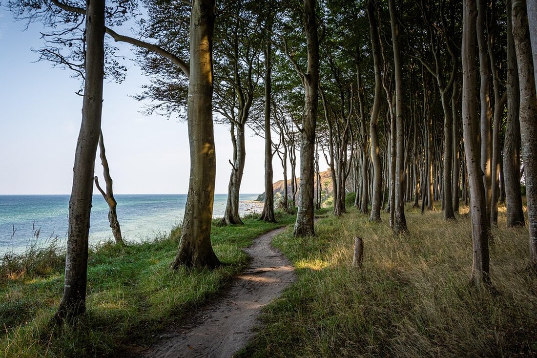 Erleben Sie Rügen: Vielfältige Urlaubsangebote, von Seebädern bis Co-Working-Spaces, locken 2025 Besucher nach Deutschland.