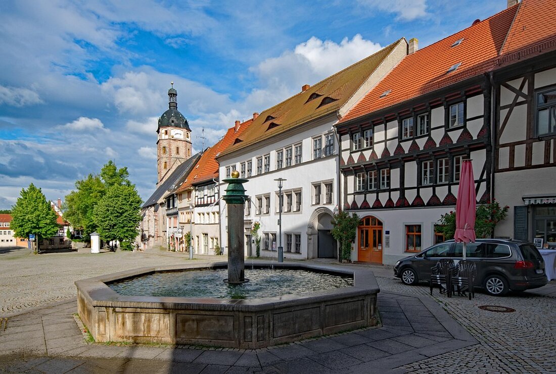 Entdecken Sie Sangerhausen, die Heimat des Europa-Rosariums mit 8.700 Rosensorten, und erleben Sie botanische Vielfalt und Geschichte.