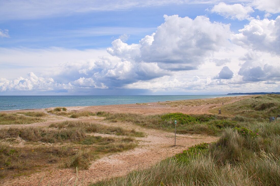 Urlaub an der Nordsee: Preissteigerungen für Schnitzel sorgen für Unmut unter Touristen und beleuchten die Gastronomiepreise.
