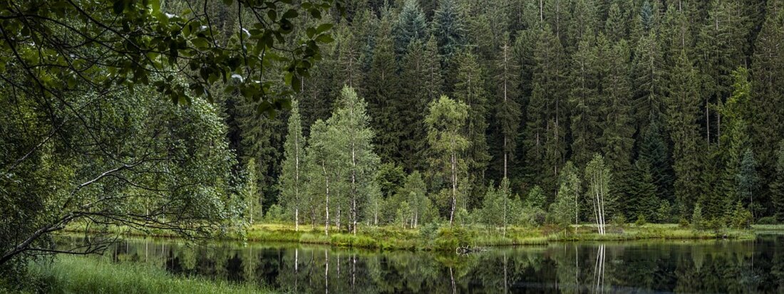 Entdecken Sie die Schönheit des Schwarzwald-Baar-Kreises: von Naturwundern über kulinarische Erlebnisse bis hin zu aktivem Familienurlaub. Ideal für Wellness und Kultur.
