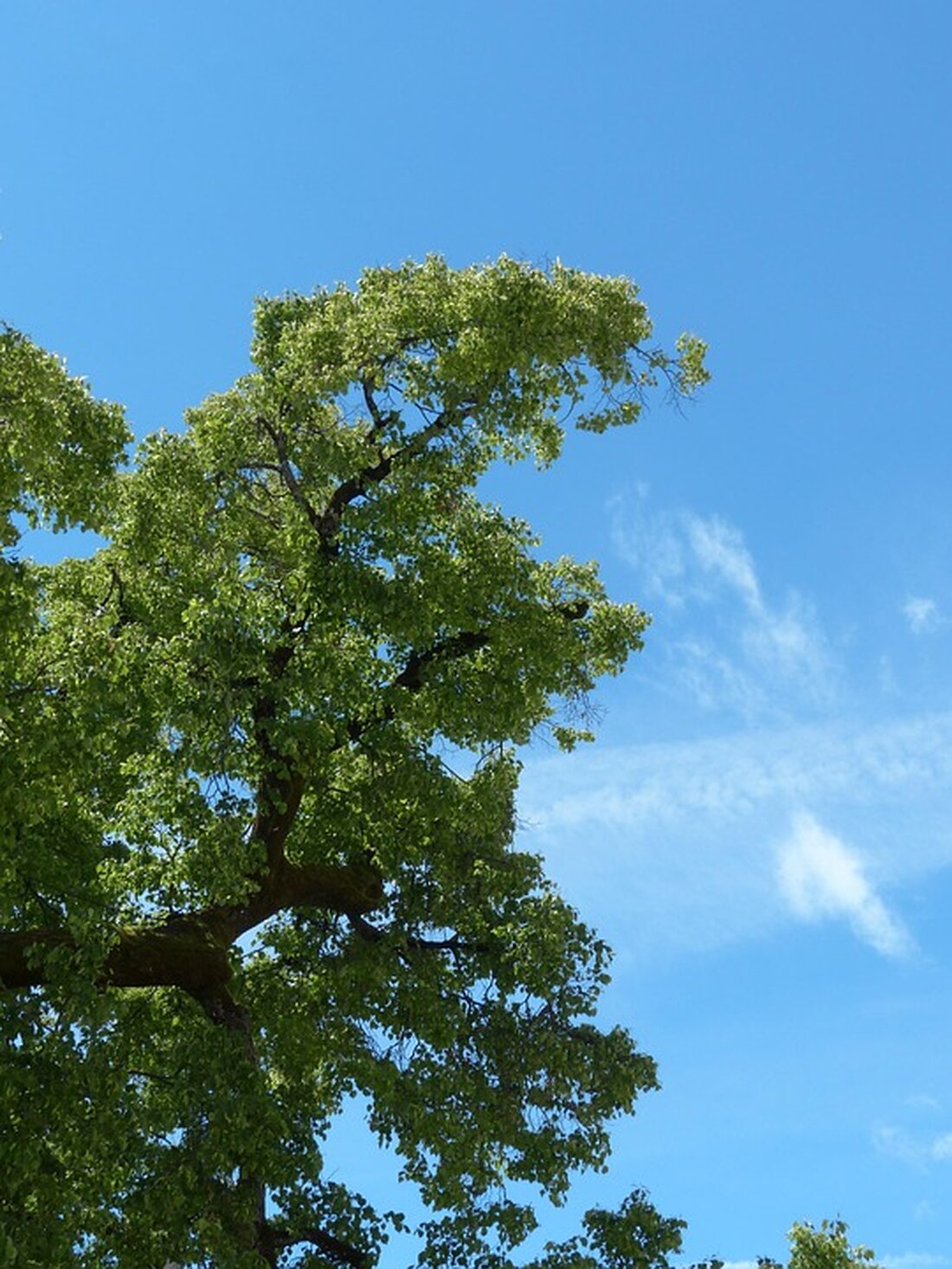 Entdecken Sie vielfältige Reiseziele für milde Sommerurlaube im Norden Europas und darüber hinaus – perfekt für kühlere Temperaturen!