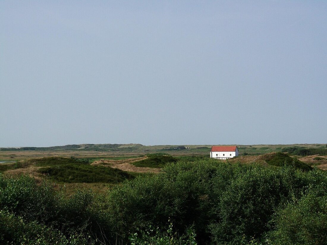 Der Klimawandel bedroht die Nordseeinsel Spiekeroog; Wissenschaftler warnen vor hohen Meeresspiegeln und nötigen Küstenschutzmaßnahmen.
