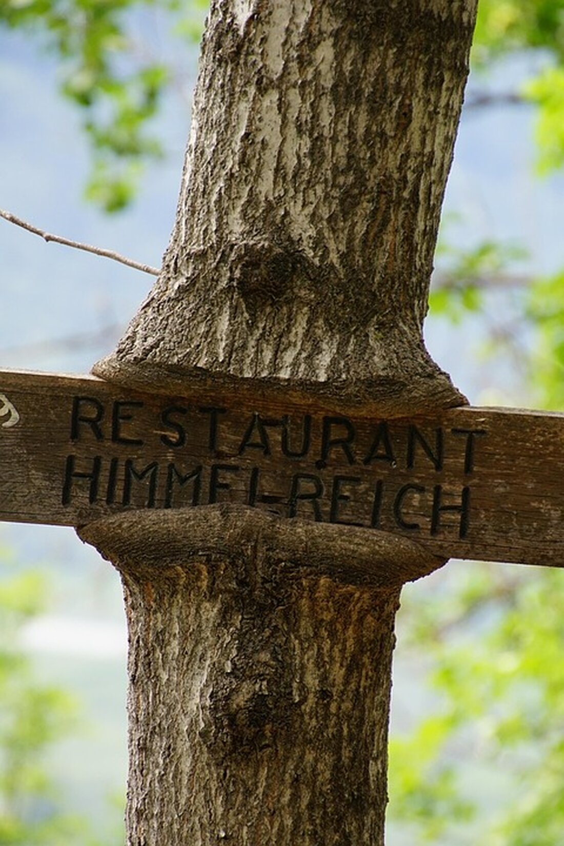 Tourismus in Südtirol verzeichnet Rückgänge: Deutsche Urlauber nehmen ab, während Preise steigen. Experten nennen Ursachen und Trends.