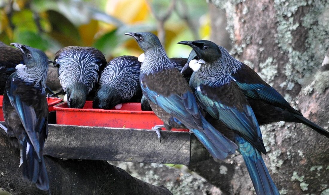 TUI berichtet über Umsatzentwicklung, späte Sommerbuchungen und beliebte Reiseziele in der aktuellen Reisesaison 2025.