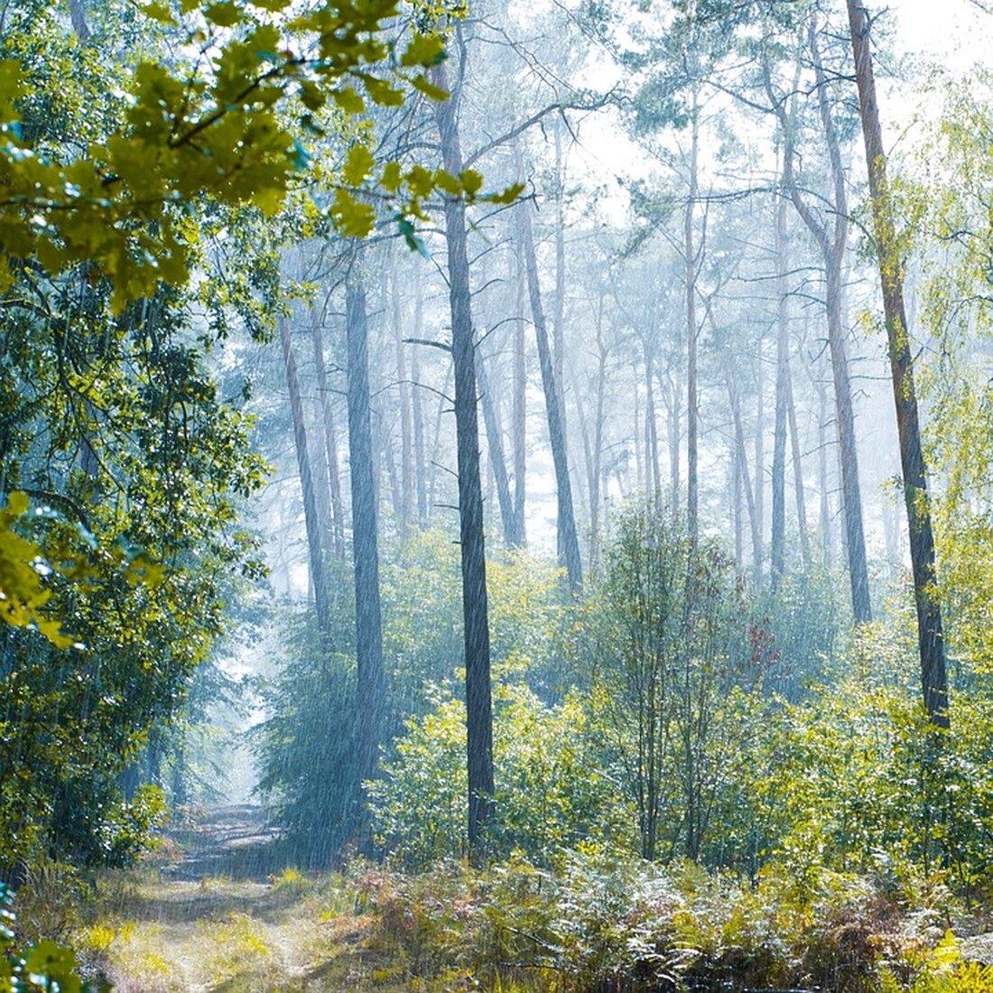 Entdecke die Vielfalt von [article_title] mit historischen Sehenswürdigkeiten, Naturerlebnissen und kulinarischen Genüssen. Perfekt für Kultur- und Naturliebhaber! 🏰🌿🍷#reiseziel #kultururlaub #genießen