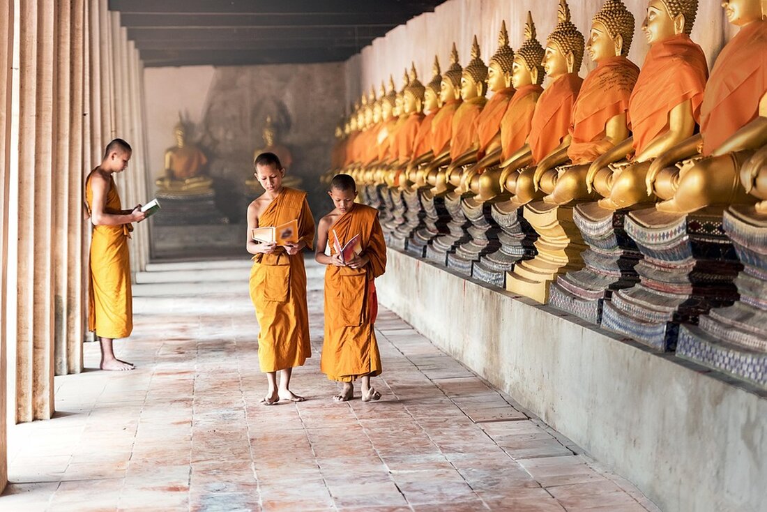 Thailand plant Verschärfungen bei Cannabis-Regeln nach Anstieg des Tourismus und zunehmenden Schmuggel-Fällen. Erfahren Sie mehr!