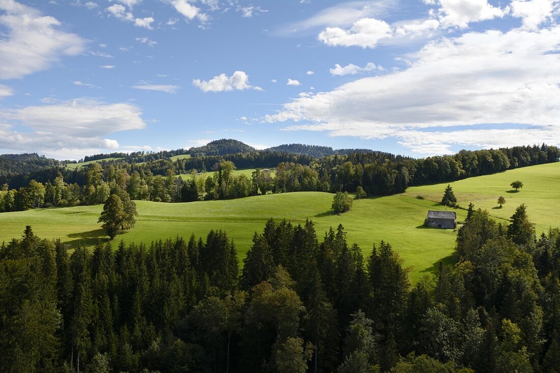 Das Toggenburg gewinnt erneut den Swiss Holiday Home Award 2025 und überzeugt mit Bestnoten in Sauberkeit und Eindruck.