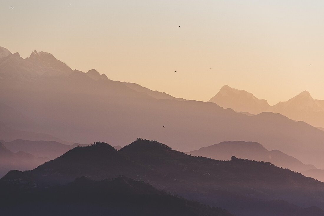 Der Artikel beleuchtet den Tourismustrend in Kalabrien im Sommer 2023, von vielversprechenden Anfängen bis zu wetterbedingten Herausforderungen.