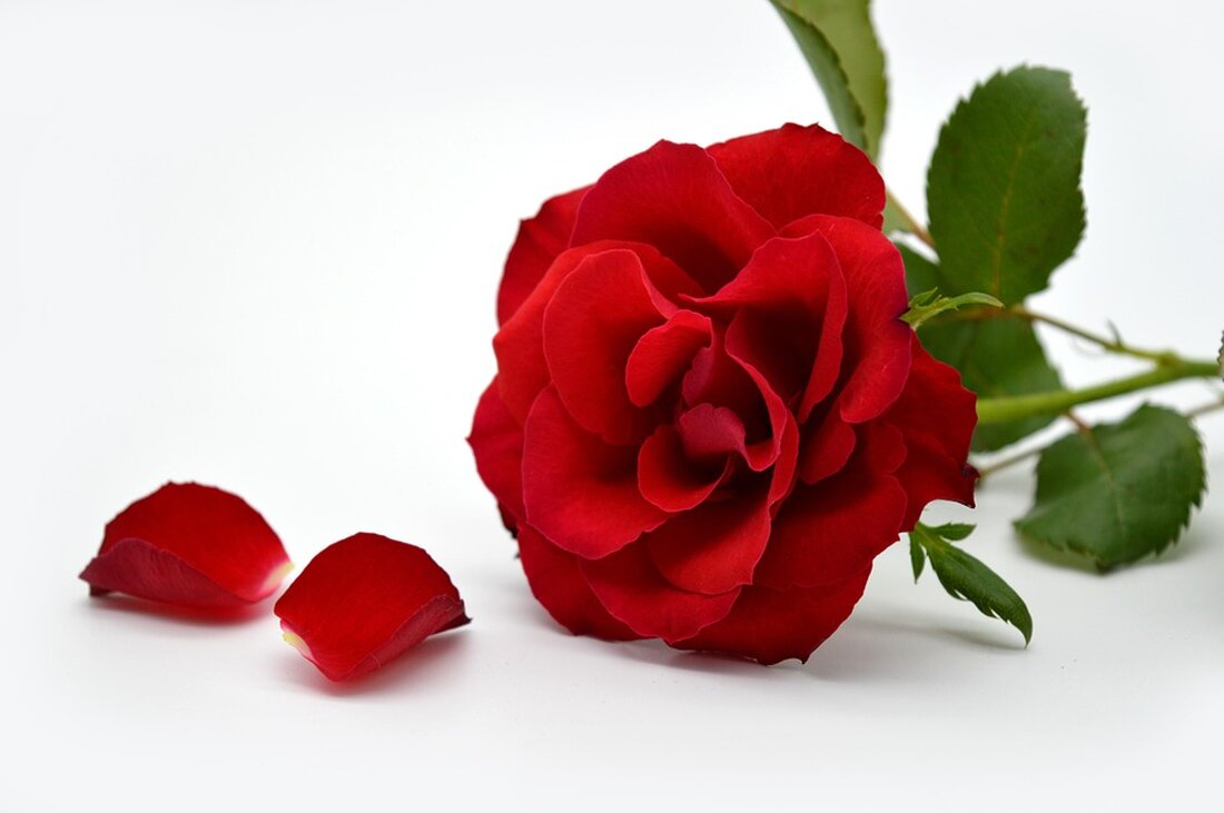 Entdecken Sie das exklusive Valentinstagspaket mit einem 200 Euro Reisegutschein für Pauschalreisen ab Hannover Flughafen. Teilnahme bis 8. Februar!