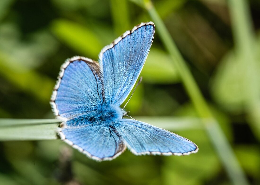 Entdecken Sie vielfältige Landurlaubsangebote in Mecklenburg-Vorpommern: von Bauernhofaufenthalten bis zu Aktivurlaub in der Natur.