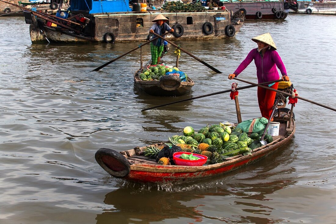 Vietnam verzeichnet ein Rekordwachstum im Tourismus mit über 12 Millionen Besuchern in 2025. Entdecken Sie die Gründe!