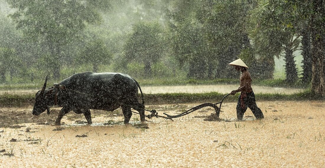Vietnam verzeichnete 9,2 Millionen internationale Besucher in 2025. Experten betonen die positive Erholung nach der Pandemie.