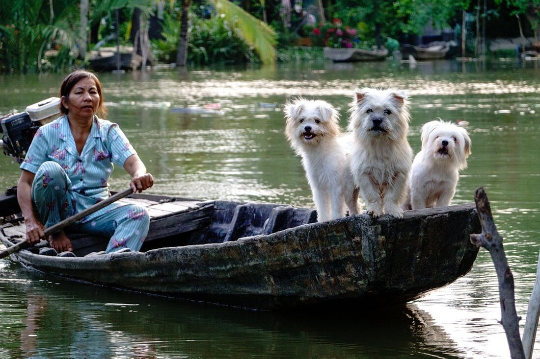 Vietnam verzeichnete im ersten Quartal 2025 über 6 Millionen internationale Touristen, beeinflusst von neuen Filmen und kulturellen Attraktionen.