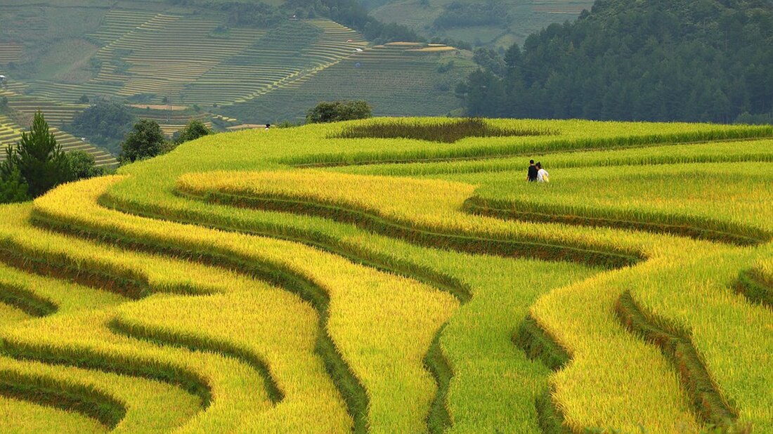 Ein Schulungskurs zur Bewertung des Kulturerbes in Vietnam startet 2025 in Dien Bien Phu. Ziel: Fachwissen und Ressourcenausbau.