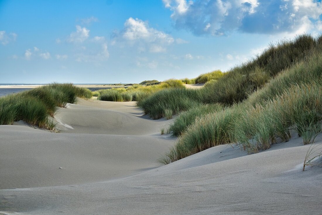 Entdecken Sie die Schönheit der Niederlande: von Amsterdams Grachten über Utrechts Kultur bis zu kulinarischen Highlights und einzigartigen Unterkünften.