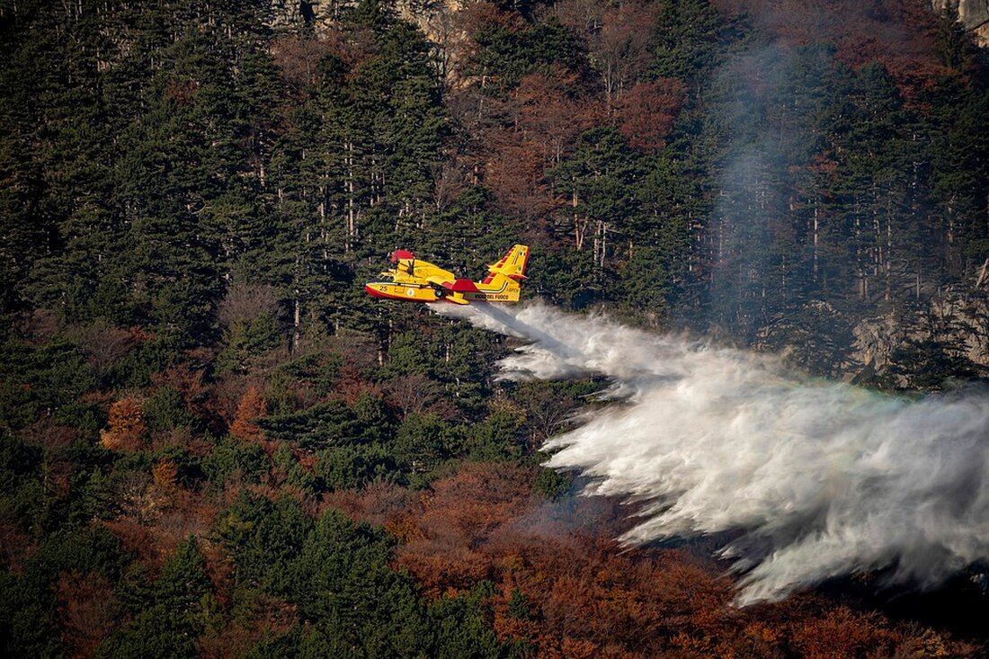 Waldbrände in Griechenland: Aktuelle Lage, Evakuierungen und Sicherheitshinweise für Reisende im Sommer 2025.