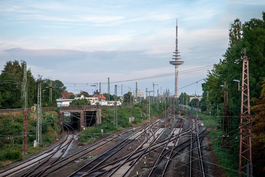 Entdecken Sie die faszinierende Welt von Walle: Einblicke in seine Geschichte, Entwicklung und Bedeutung für die Region. All das in unserem neuesten Artikel!