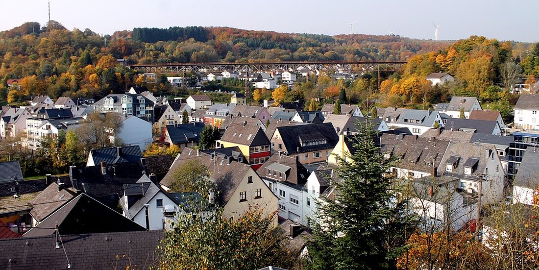 Die sinkende Zahl deutscher Touristen in den USA: Ein Blick auf die Gründe, die aktuellen Geschehnisse und ihre Auswirkungen.