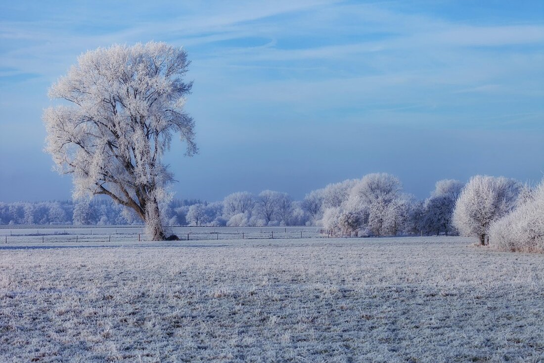 Entdecken Sie die geplante winterliche Eisbahn auf Sylt: Eröffnung vom 28. November 2025 bis 2. Januar 2026 im Rathauspark.