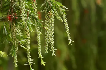 Frühlingserwachen: Die Hotspots für Ihren Märzurlaub in Europa!