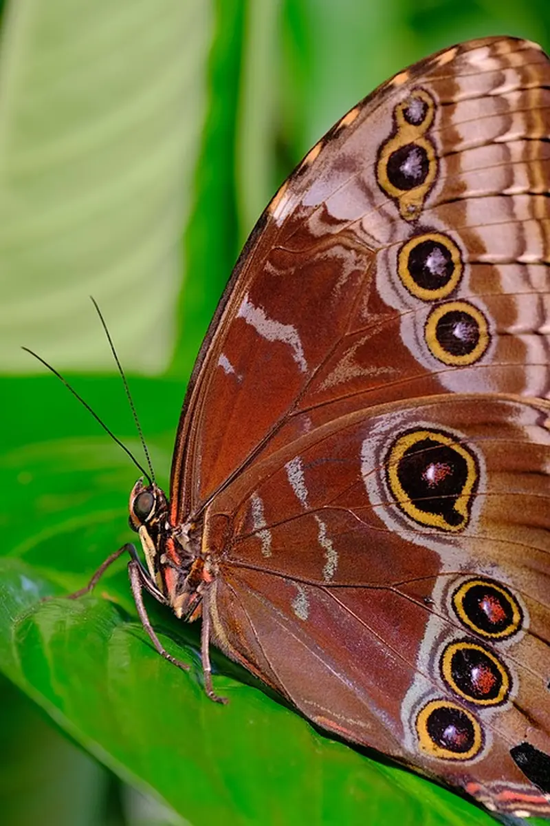 Haustausch: So verwandelt Alexandra ihr Zuhause in eine Urlaubsoase!