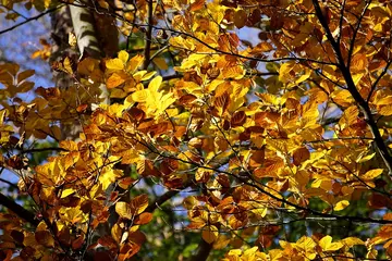 Traumziele im Oktober: Entdecke die besten Geheimtipps für Merzouga!