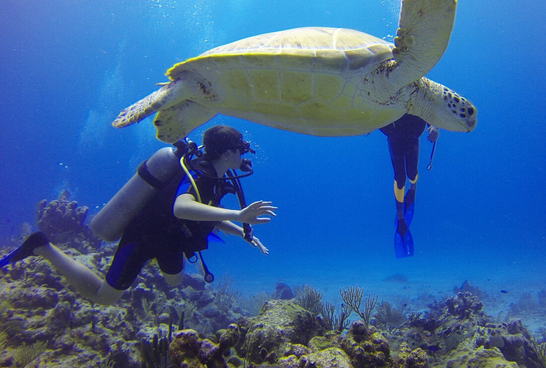 Wenn es um tropische Paradiese und faszinierende Unterwasserwelten geht, kommt man kaum an Bora Bora vorbei. Diese traumhafte Insel im Südpazifik gehört zu Französisch-Polynesien und ist ein wahres Juwel für Taucher und Schnorchler aus aller Welt. Die türkisblauen Lagunen und die atemberaubende Meereslandschaft, die von farbenfrohen Korallengärten bis zu beeindruckenden Schiffswracks reicht, machen das Tauchen auf Bora Bora zu einem unvergesslichen Erlebnis. In diesem Artikel nehmen wir Sie mit auf eine Reise in die faszinierende Unterwasserwelt von Bora Bora und geben Ihnen wertvolle Tipps für Ihren nächsten Tauchurlaub. Die Magie des Tauchens auf Bora Bora Bora Bora ist weltweit bekannt …