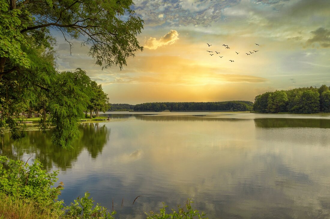 Entdecken Sie die besten Sehenswürdigkeiten in Lychen Lychen ist eine kleine, aber schöne Stadt im Nordosten Deutschlands. Es ist ein perfektes Reiseziel für alle, die gerne die Natur und die Kultur erkunden möchten. Ob Wandern, Radfahren, Klettern oder einfach nur die Sehenswürdigkeiten der Region erkunden – in Lychen wird es Ihnen nie langweilig. In diesem Reiseführer stellen wir Ihnen die besten Sehenswürdigkeiten in Lychen vor. Der Lychener See Der Lychener See ist einer der schönsten Seen in der Region. Er liegt im Herzen des Naturparks Uckermärkische Seen und ist ein beliebtes Ausflugsziel für Einheimische und Touristen. Der See ist ideal …