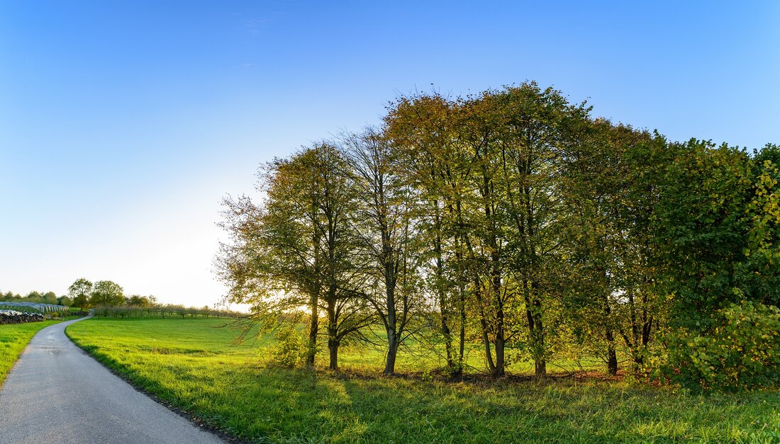 Entdecken Sie die Sehenswürdigkeiten in Mosbach: Ein Guide für Touristen Mosbach ist eine kleine Stadt im südwestlichen Baden-Württemberg. Die Stadt liegt am Neckar und ist bekannt für ihre malerischen Landschaften und alte Gebäude. Touristen können viele interessante Sehenswürdigkeiten in Mosbach besuchen, die einen Besuch wert sind. In diesem Artikel werden wir einige der beliebtesten Sehenswürdigkeiten in Mosbach vorstellen und einige Tipps für einen erfolgreichen Besuch geben. Mosbacher Schloss Das Mosbacher Schloss ist eines der berühmtesten Sehenswürdigkeiten in Mosbach. Es ist ein mittelalterliches Schloss, das im 13. Jahrhundert erbaut wurde. Das Schloss ist ein wichtiges Symbol der Stadt und beherbergt heute …