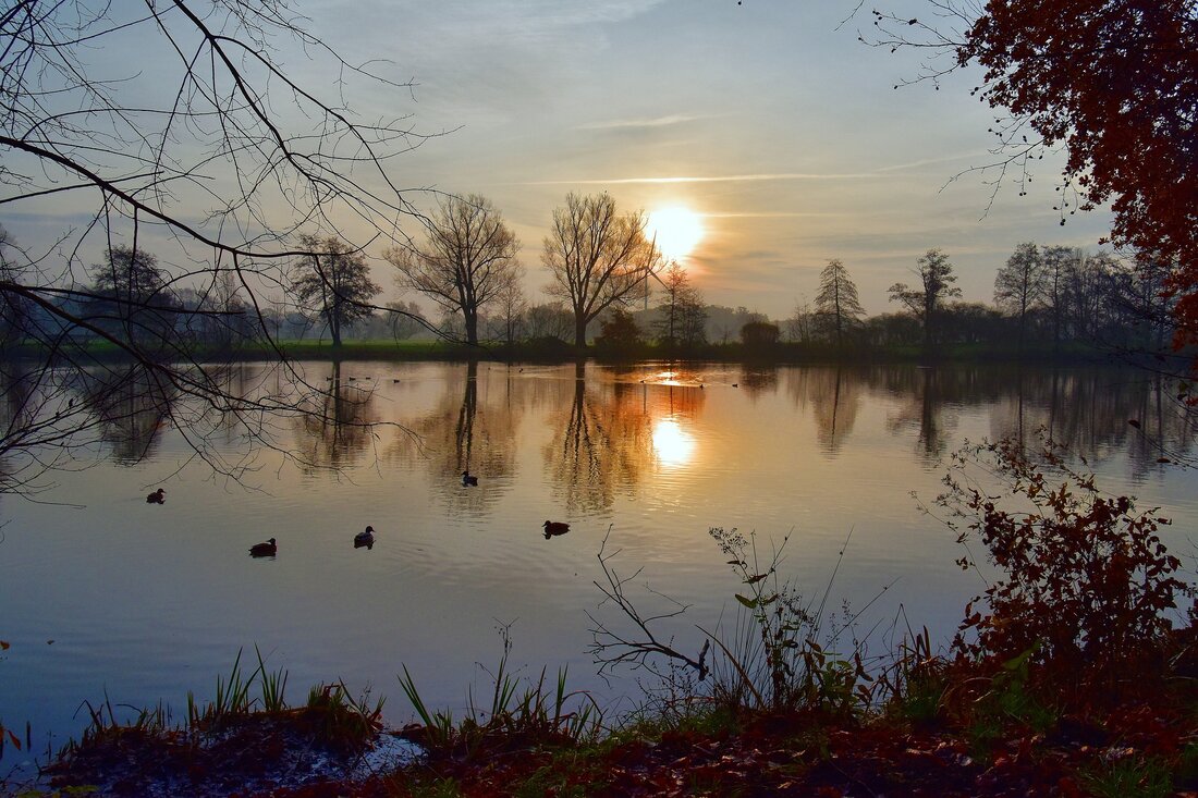 Entdecken Sie die Sehenswürdigkeiten von Delmenhorst Delmenhorst ist eine kleine, aber sehr attraktive Stadt in Niedersachsen. Die Stadt ist voller Sehenswürdigkeiten, die einen Besuch wert sind. Ob Sie ein Tourist sind oder ein Einheimischer, es gibt viele interessante Orte zu entdecken. Hier sind einige der besten Sehenswürdigkeiten in Delmenhorst. Delme-Park Der Delme-Park ist ein wunderschöner Park in Delmenhorst. Er ist voller Bäume, Blumen, Seen und vieler anderer interessanter Sehenswürdigkeiten. Der Park beherbergt auch einige Gebäude wie das Delme-Museum, das Delme-Theater und das Delme-Kino. Der Park ist ein beliebter Ort für Spaziergänge und Picknicks. Stadtmuseum Delmenhorst Das Stadtmuseum Delmenhorst befindet sich …