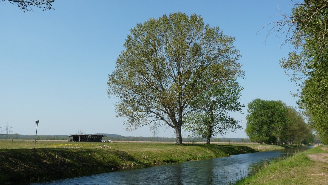 Entdecken Sie die Schönheit von Trebbin Trebbin ist eine schöne Stadt in Brandenburg, die viele Sehenswürdigkeiten zu bieten hat. Es ist eine historische Stadt, die vor allem für ihre mittelalterliche Architektur und ihre malerischen Landschaften bekannt ist. Mit seinen vielen historischen Gebäuden, seinen malerischen Landschaften und seiner reichen Kultur hat Trebbin viel zu bieten. Hier sind einige der besten Sehenswürdigkeiten in Trebbin, die Sie unbedingt besuchen sollten. Stadtkirche St. Marien Die Stadtkirche St. Marien ist eine der ältesten Kirchen in Trebbin. Die Kirche wurde im 13. Jahrhundert erbaut und ist ein eindrucksvolles Beispiel für mittelalterliche Architektur. Die Kirche ist bekannt …