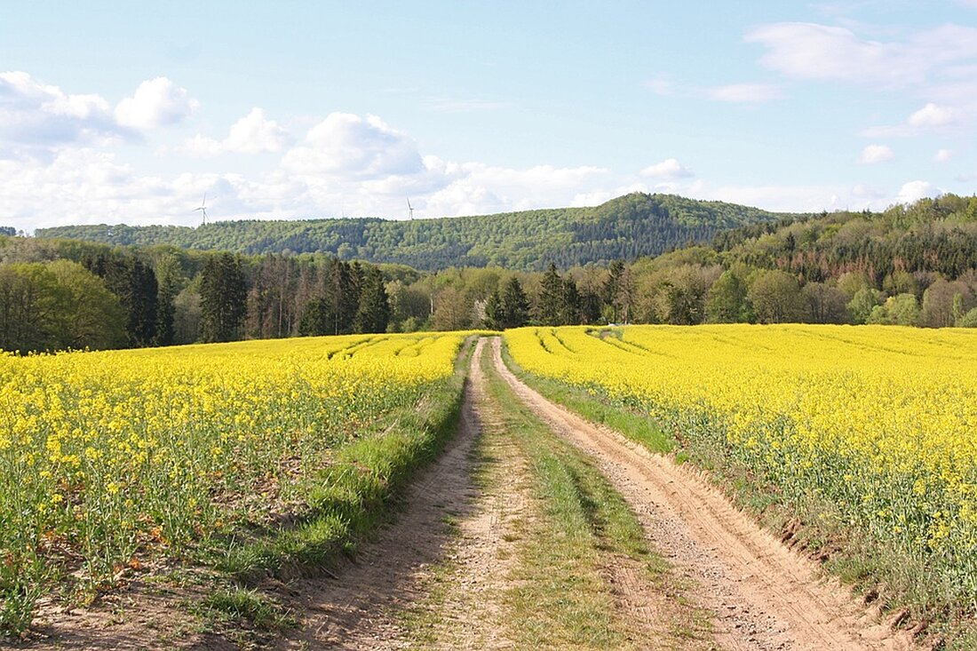 Erkunde die schöne Stadt Schiffweiler und entdecke die besten Sehenswürdigkeiten Schiffweiler ist eine kleine, aber wunderschöne Stadt im Landkreis Neunkirchen im Saarland. Es ist ein beliebtes Reiseziel für Touristen, die die natürliche Schönheit und den Charme der Region erleben möchten. Die Stadt ist auch für ihre vielen Sehenswürdigkeiten bekannt, die einzigartig und unterhaltsam sind. In diesem Artikel werden wir einige der besten Sehenswürdigkeiten in Schiffweiler vorstellen und erklären, warum sie einen Besuch wert sind. Kirche St. Martin Die Kirche St. Martin ist eine der bekanntesten Sehenswürdigkeiten in Schiffweiler. Die Kirche wurde im Jahr 1771 erbaut und ist ein wichtiges Denkmal …