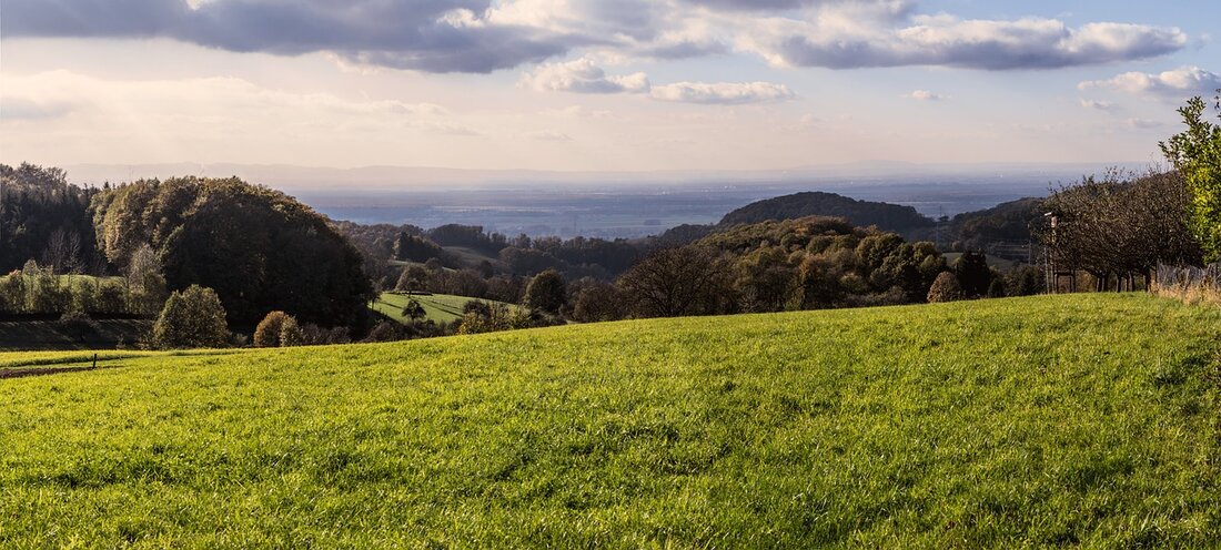 Willkommen in Rodgau – Ein Paradies für Naturliebhaber Willkommen in Rodgau, einer der schönsten Städte Deutschlands! Rodgau ist eine Stadt im Kreis Offenbach im Bundesland Hessen. Es ist bekannt für seine malerischen Landschaften, die vielen Sehenswürdigkeiten und die reiche Kultur. In Rodgau gibt es viele Möglichkeiten, die Natur zu erkunden. Von den malerischen Wäldern und Seen bis hin zu den historischen Gebäuden und den zahlreichen Freizeitmöglichkeiten, die Rodgau zu bieten hat, gibt es viel zu entdecken. In diesem Reiseführer werden wir einige der besten Sehenswürdigkeiten von Rodgau erkunden und erfahren, warum es ein beliebtes Reiseziel ist. Wir werden uns die …
