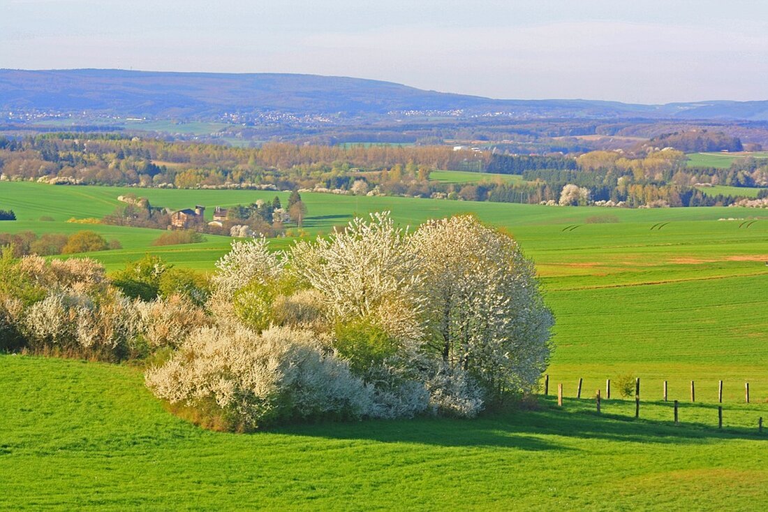 Willkommen in Kleinblittersdorf Kleinblittersdorf ist eine kleine, aber lebendige Stadt im Südwesten Deutschlands. Die Stadt ist bekannt für ihre malerischen Straßen, die historischen Gebäude und die vielen Sehenswürdigkeiten, die es zu entdecken gilt. Wenn Sie planen, eine Reise nach Kleinblittersdorf zu unternehmen, sollten Sie sich die Zeit nehmen, die vielen Sehenswürdigkeiten zu erkunden, die die Stadt zu bieten hat. Hier ist ein Reiseführer, der Ihnen einen Überblick über die Sehenswürdigkeiten von Kleinblittersdorf gibt. Kirche St. Johannes Die Kirche St. Johannes ist eine der bekanntesten Sehenswürdigkeiten von Kleinblittersdorf. Die Kirche wurde im 13. Jahrhundert erbaut und ist eine der ältesten Kirchen …