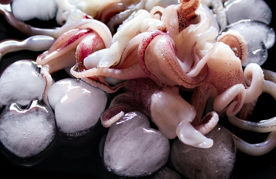 Netflix kündigt am 22.06.2025 das Finale von „Squid Game“ an und beleuchtet sozioökonomische Kämpfe in einer neuen Doku.