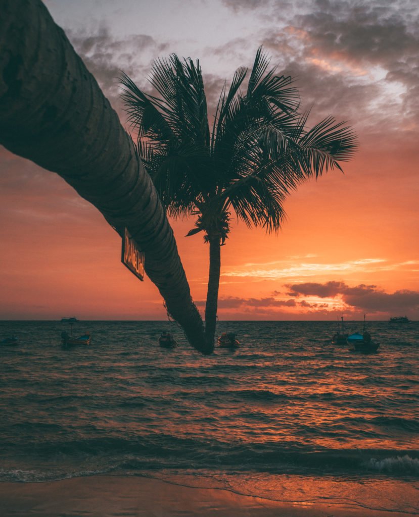 sairee beach sonnenuntergang palmenstrände auf koh tao