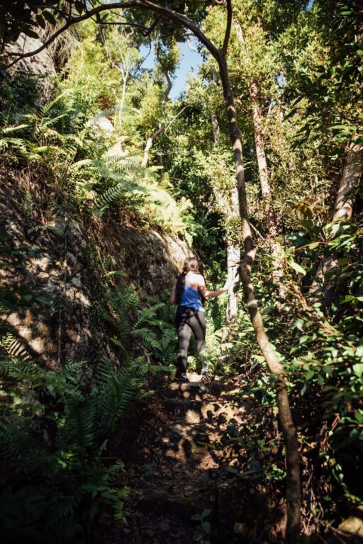 Besteigung des Whitsunday Peaks