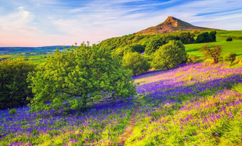 Roseberry Topping is one of the best hikes in the North York Moors National Park