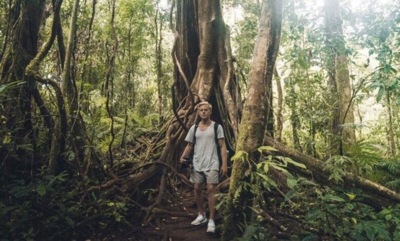 Mossman Gorge Walk – Rainforest Circuit