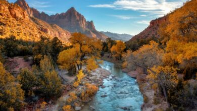 Rangers have dealt with white supremacists in Zion National Park