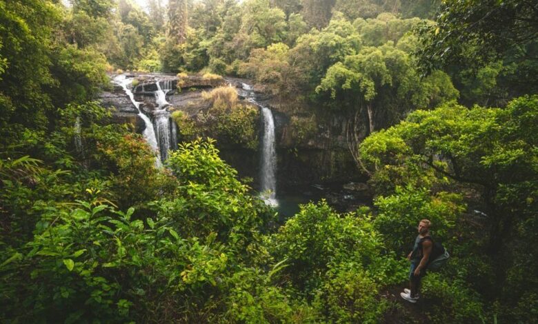 Tchupala Falls und Wallicher Falls, Wooroonooran National Park, Cairns