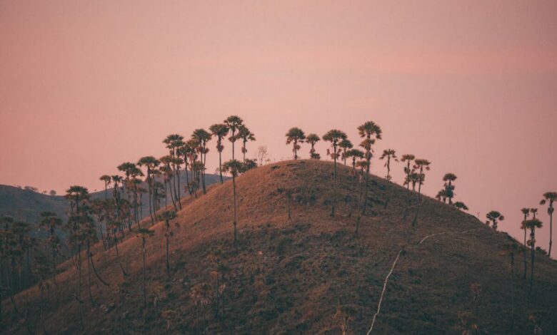 Sunset Hill – Bester Sonnenuntergang in Labuan Bajo, Flores  