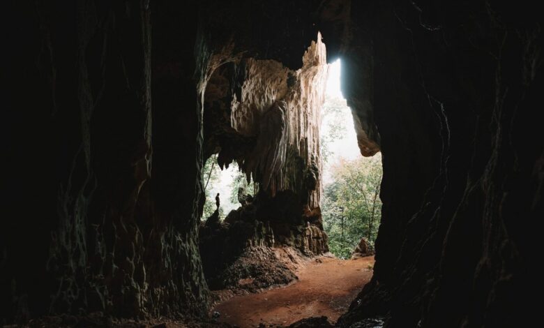 Kinabatangan-Höhlen – Wanderung auf dem Elefantenpfad zu den Sukau-Höhlen