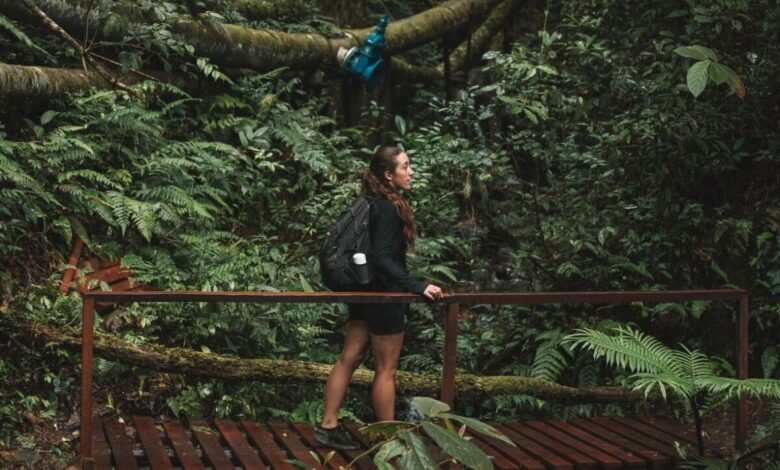 Was im Kinabalu Park zu tun ist – Vollständiger Wanderführer