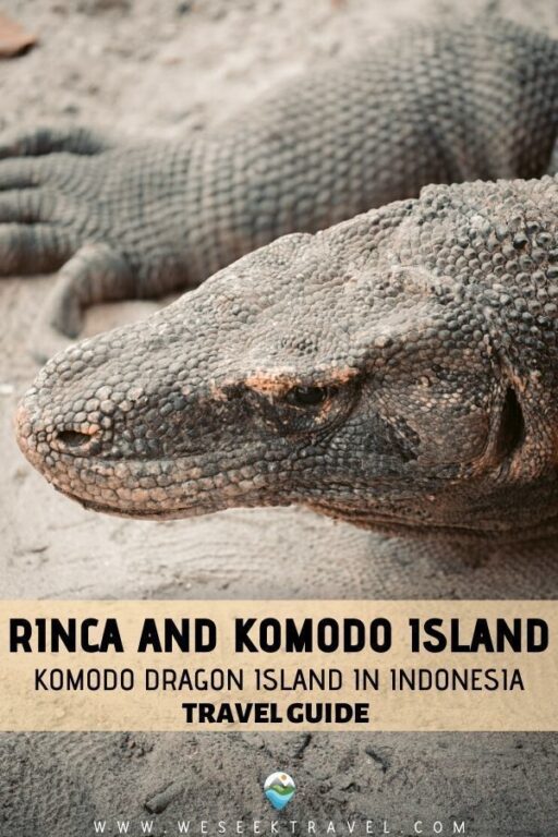Rinca und Komodo Island: Komodo Dragon Island in Indonesien - REISEFÜHRER
