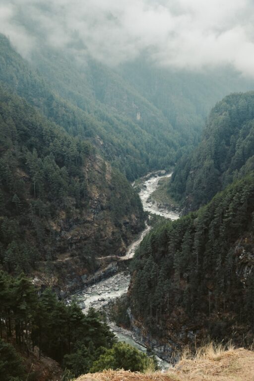 WALD WÄHREND DES ABSTIEGS NACH LUKLA VOM NAMCHE BAZAR